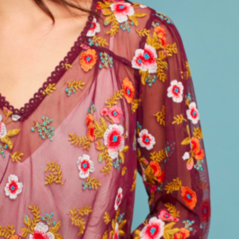 Anthropologie Ruffle Giralda Blouse Embroidered XS